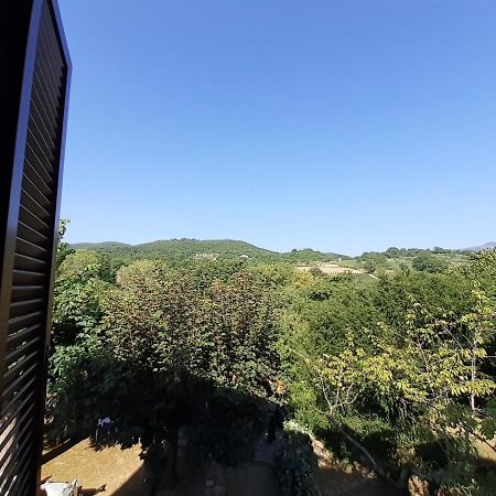 Villa Le Palmine Palazzone Luaran gambar