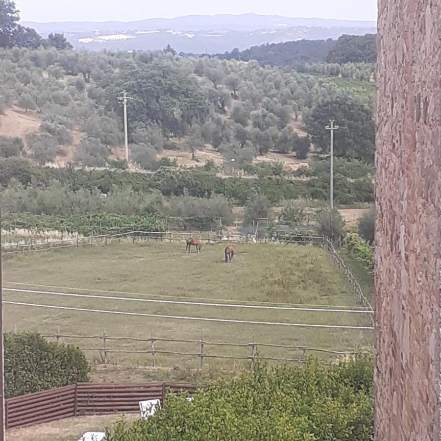 Villa Le Palmine Palazzone Luaran gambar