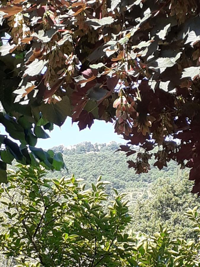 Villa Le Palmine Palazzone Luaran gambar